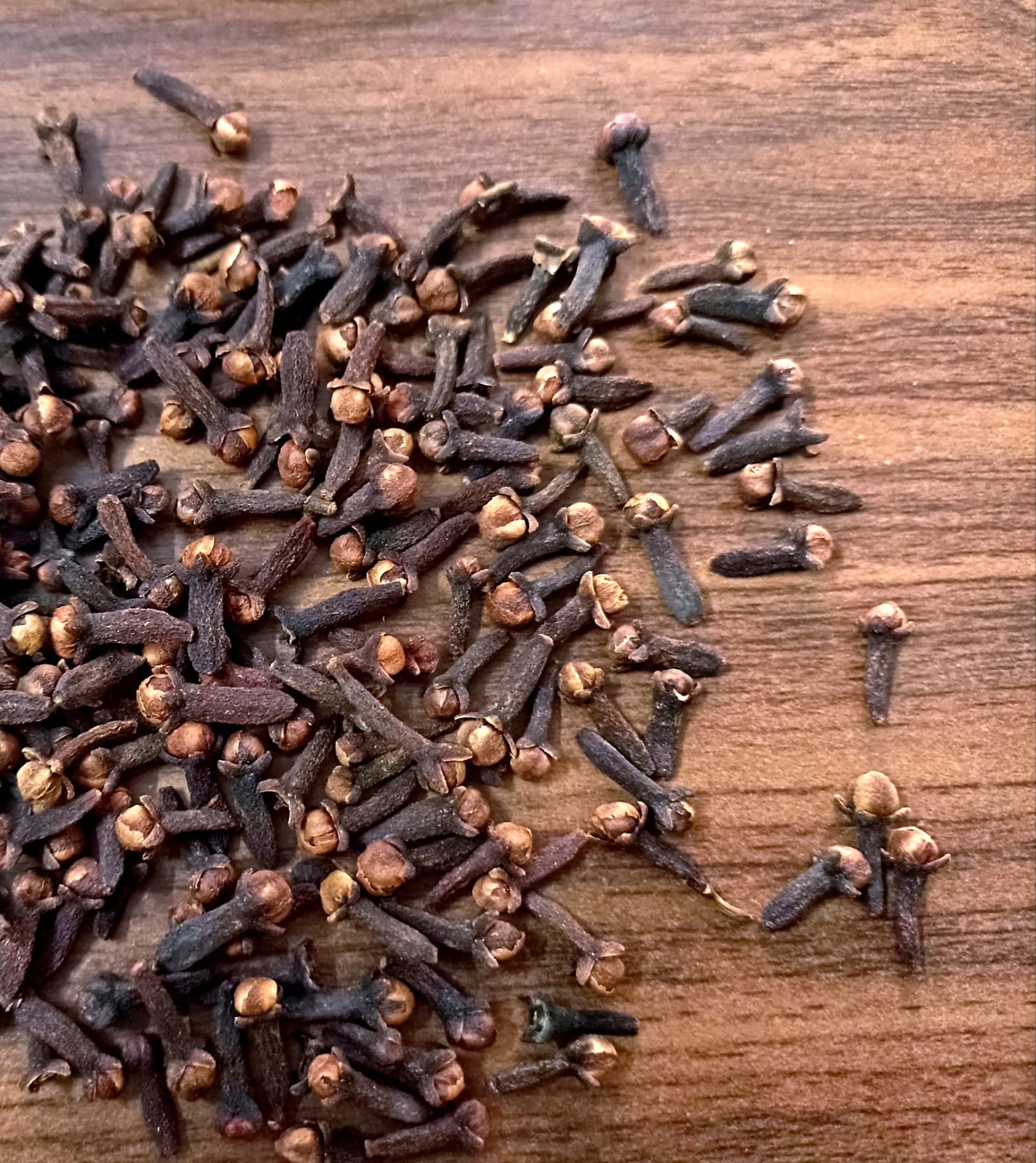 Clove (2).jpeg